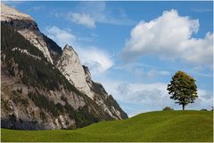 Fels - Wolke - Baum