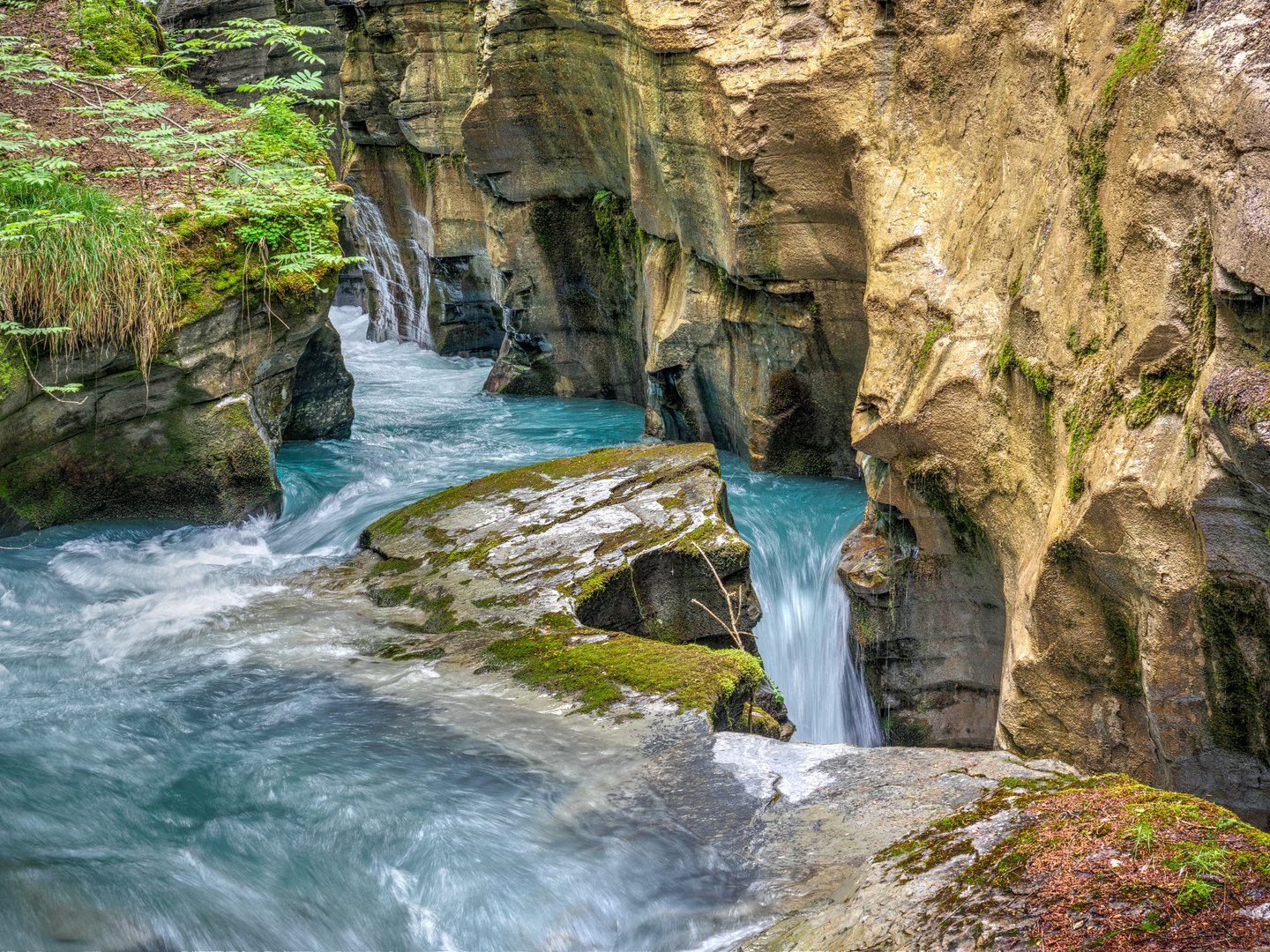 Felsbachschlucht