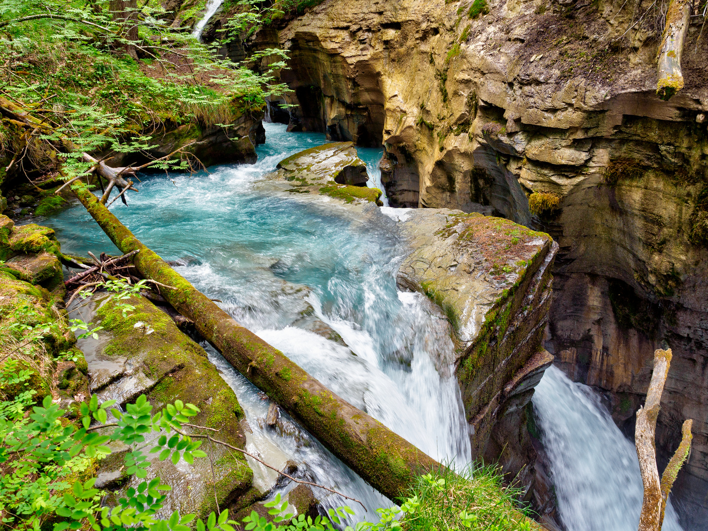 Felsbachschlucht