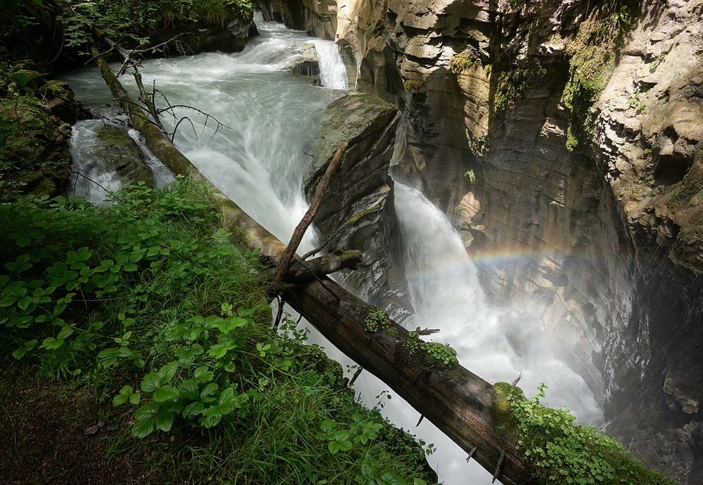 Felsbachschlucht