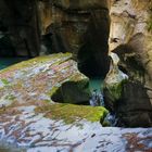 Felsbachschlucht bei Trin GR