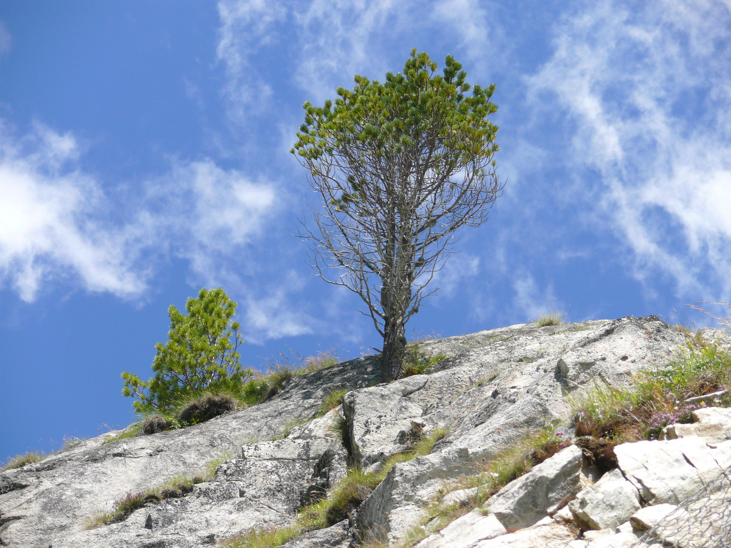 Fels_Baum_Himmel