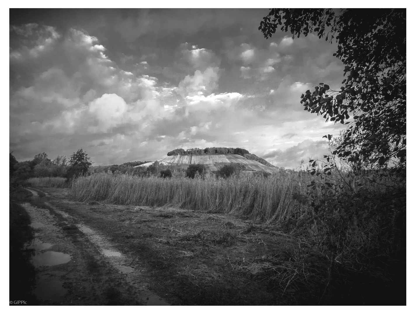 Felsberg in Herbststimmung