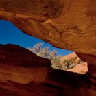 Felsbogen im Valley of Fire State Park - Nevada - USA