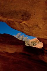 Felsbogen im Valley of Fire State Park - Nevada - USA