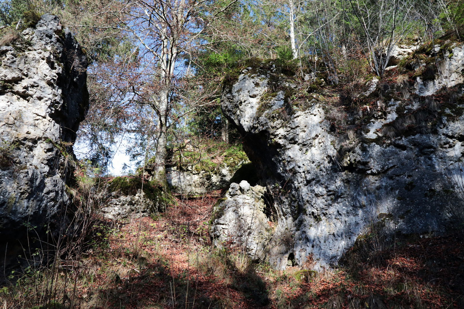 Felsen