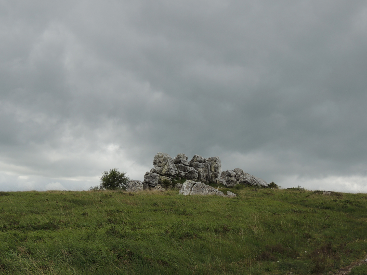 Felsen