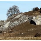 Felsen