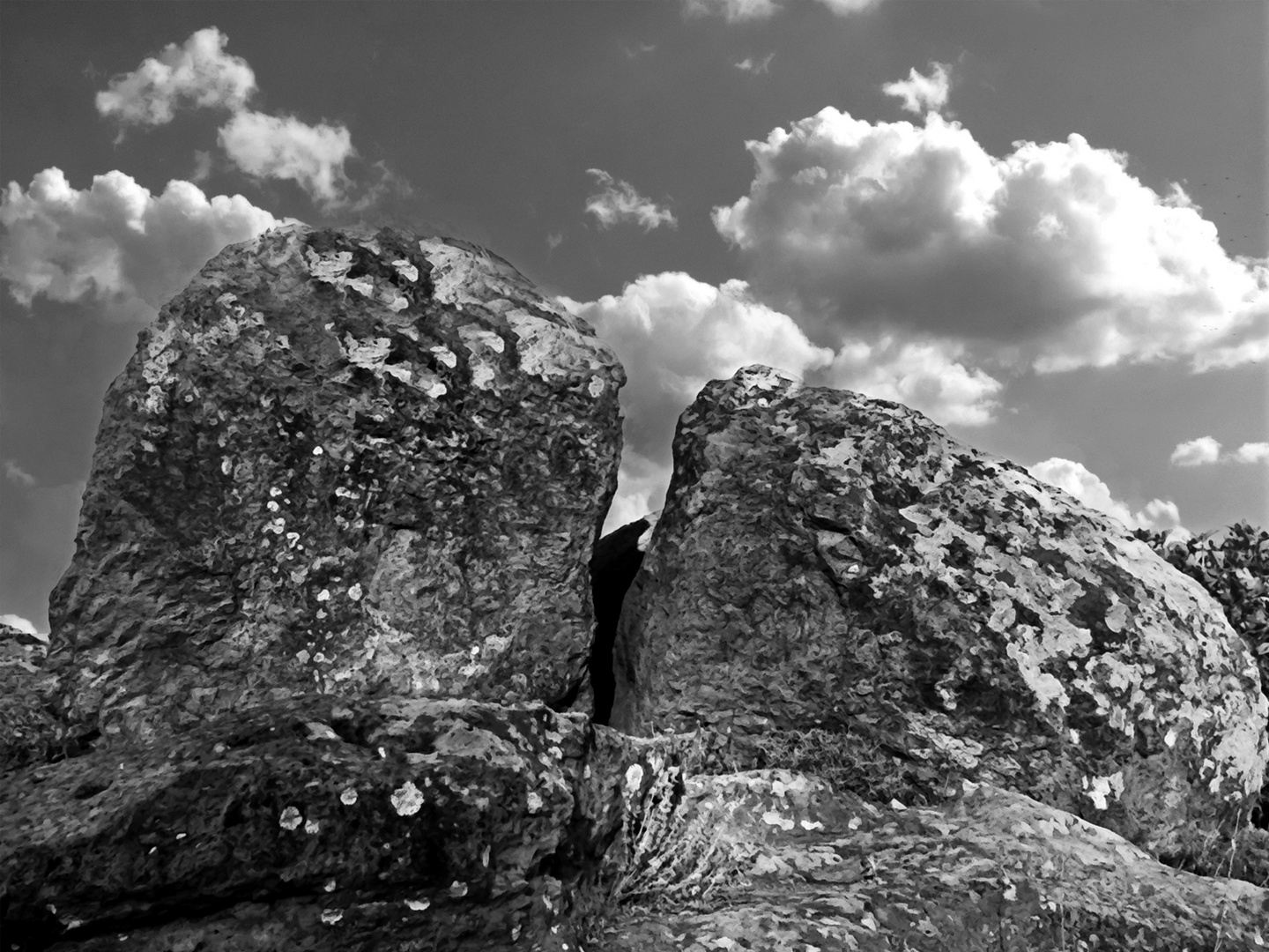 felsen