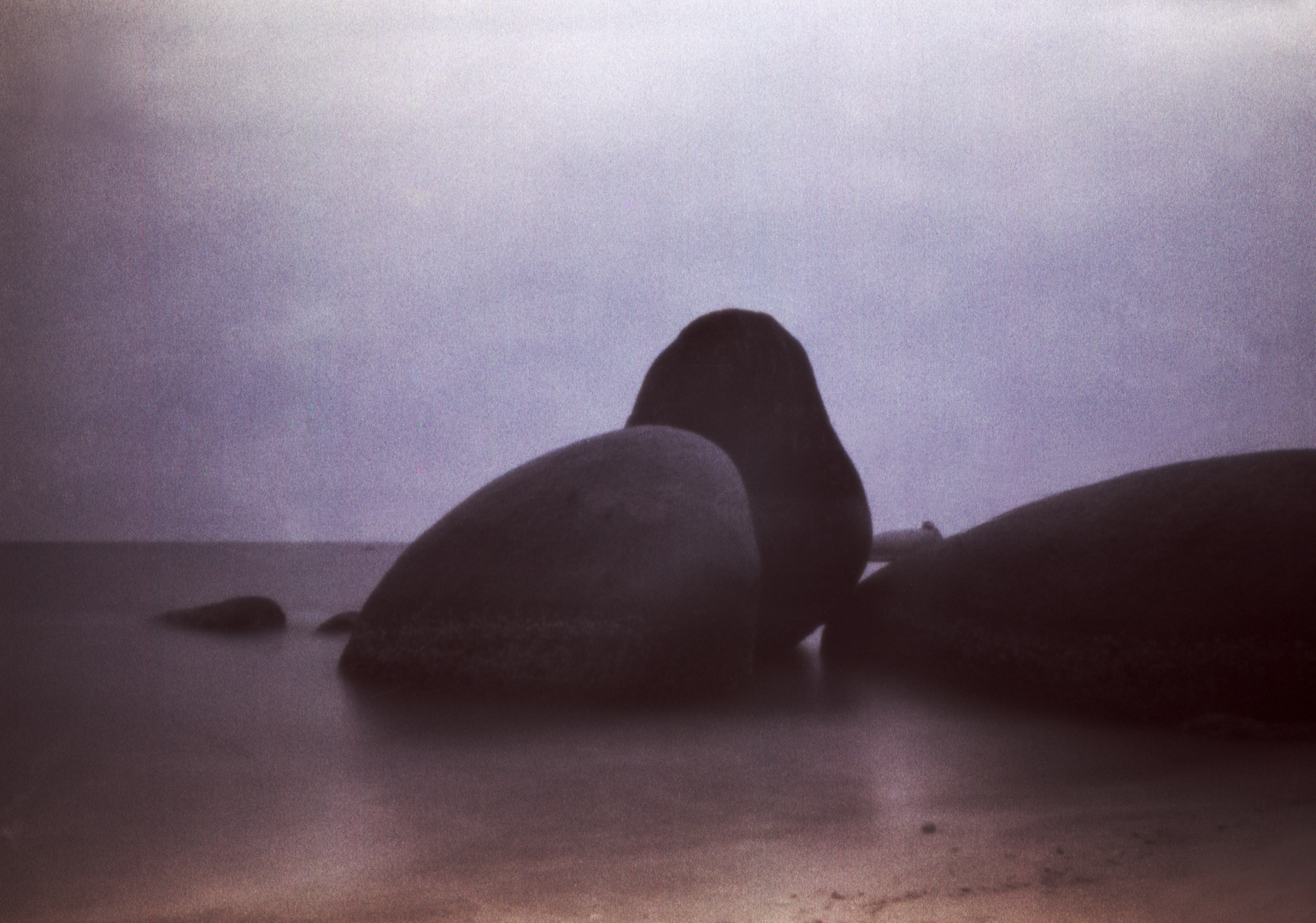 Felsen am Meer - Skink Pinhole Pancake