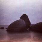 Felsen am Meer - Skink Pinhole Pancake