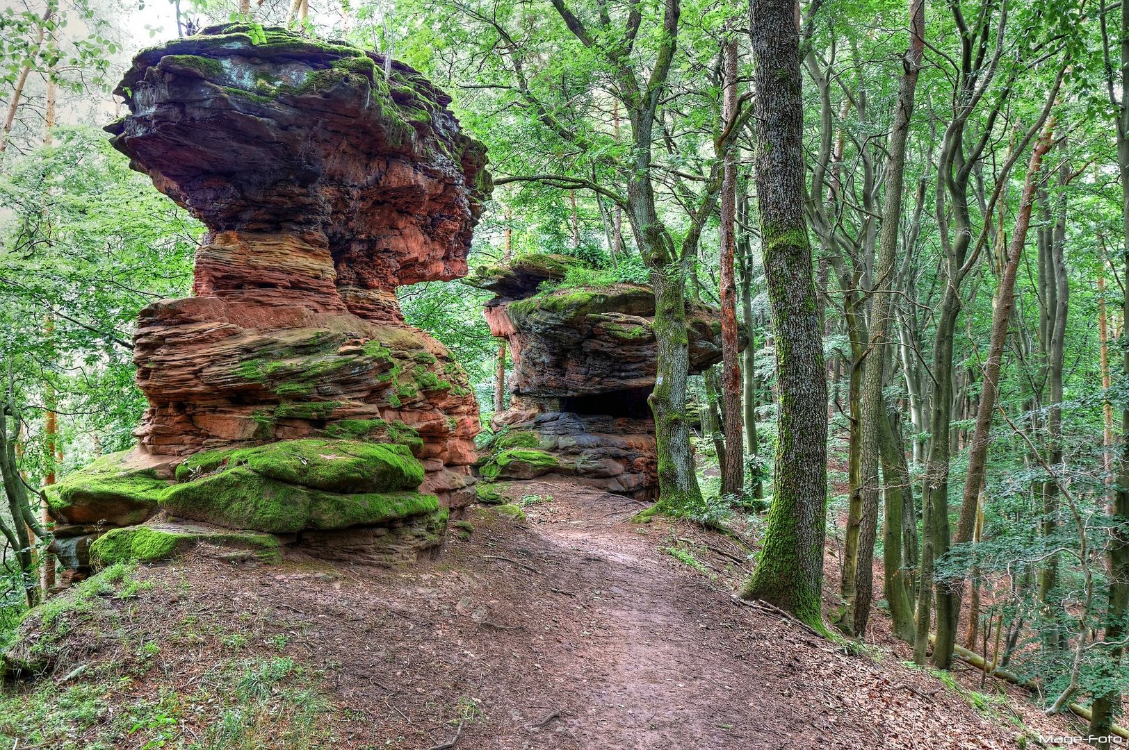 Felsen am Rimbach-Steig