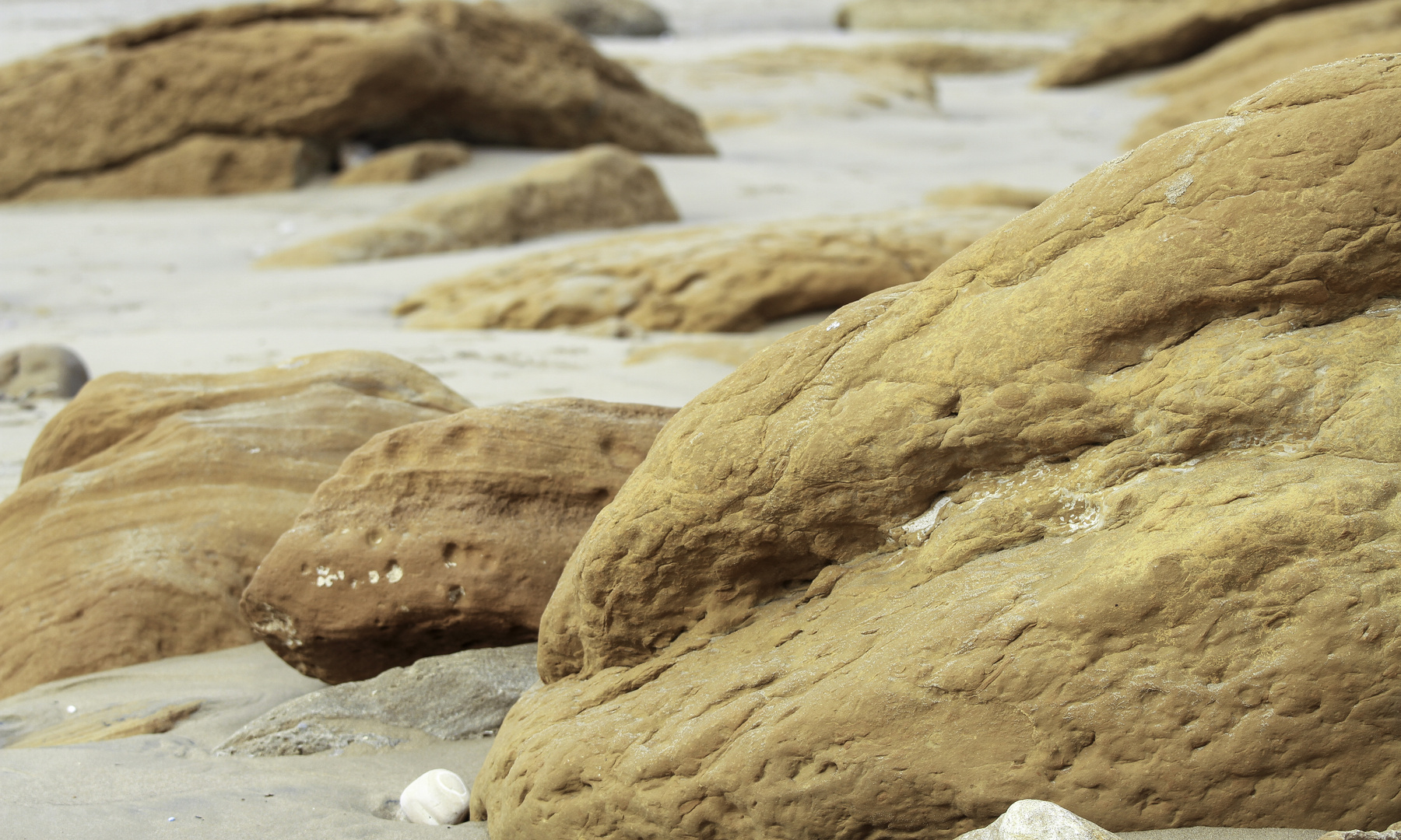 Felsen am Strand von Taghazout 1