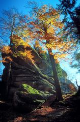 Felsen am Waldstein