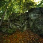 Felsen am Waldweg unter grünem Blätterdach