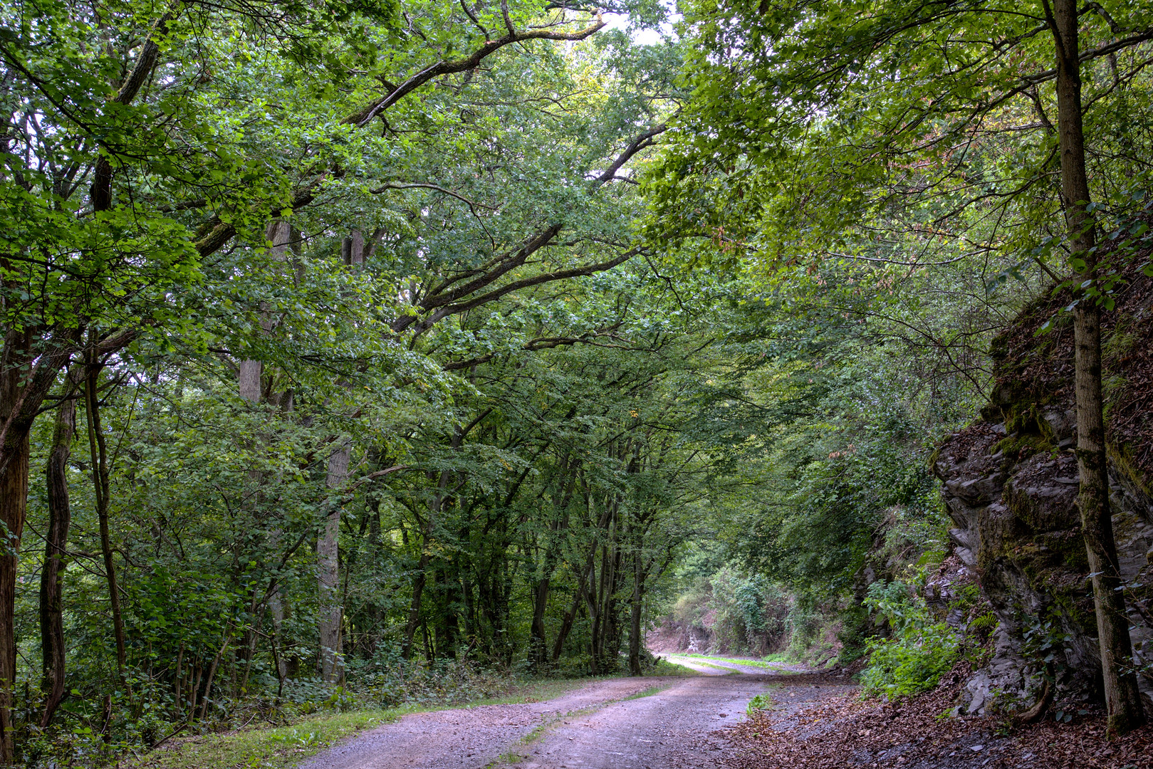 Felsen am Weg durch den Wald