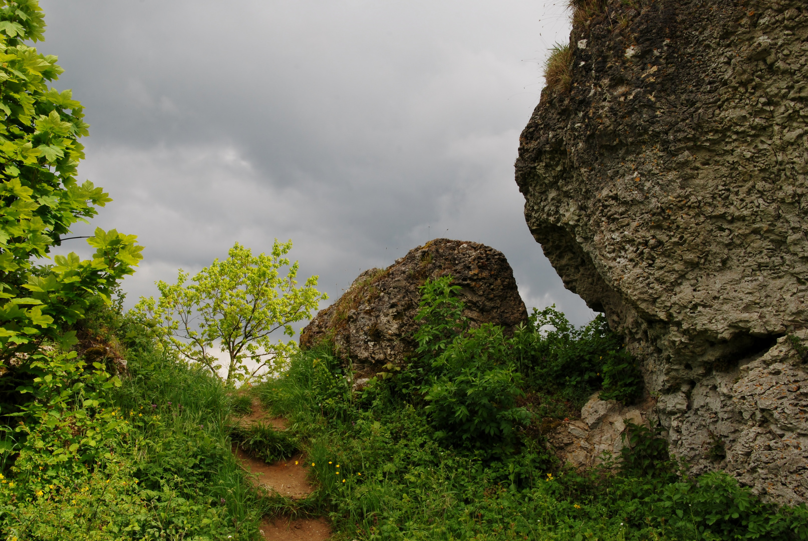 Felsen am Weg