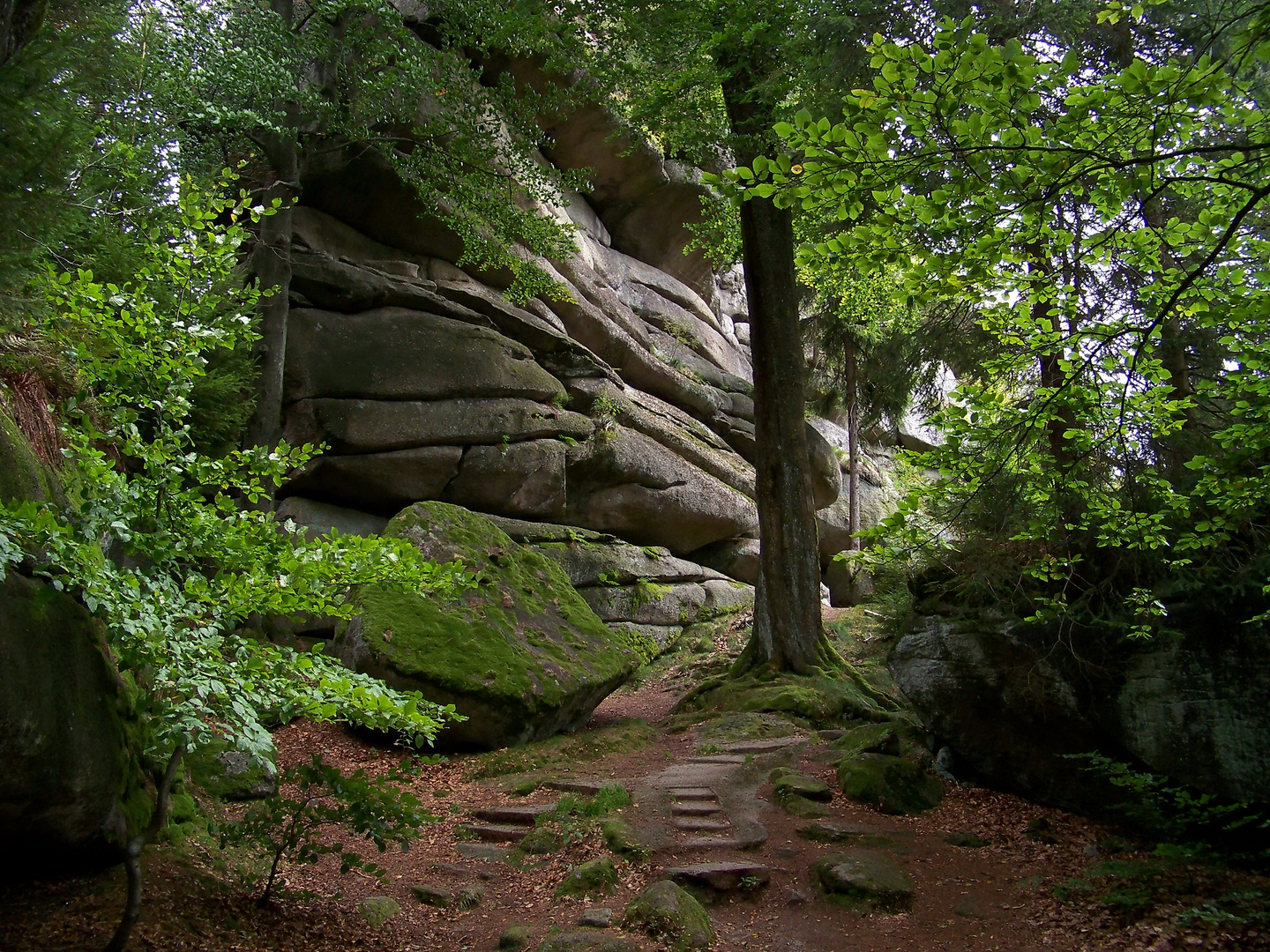 Felsen auf dem Waldstein