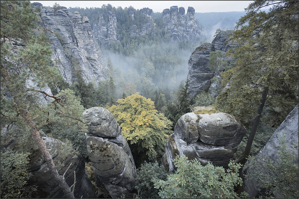 felsen-b-ume-und-nebel-foto-bild-deutschland-europe-sachsen