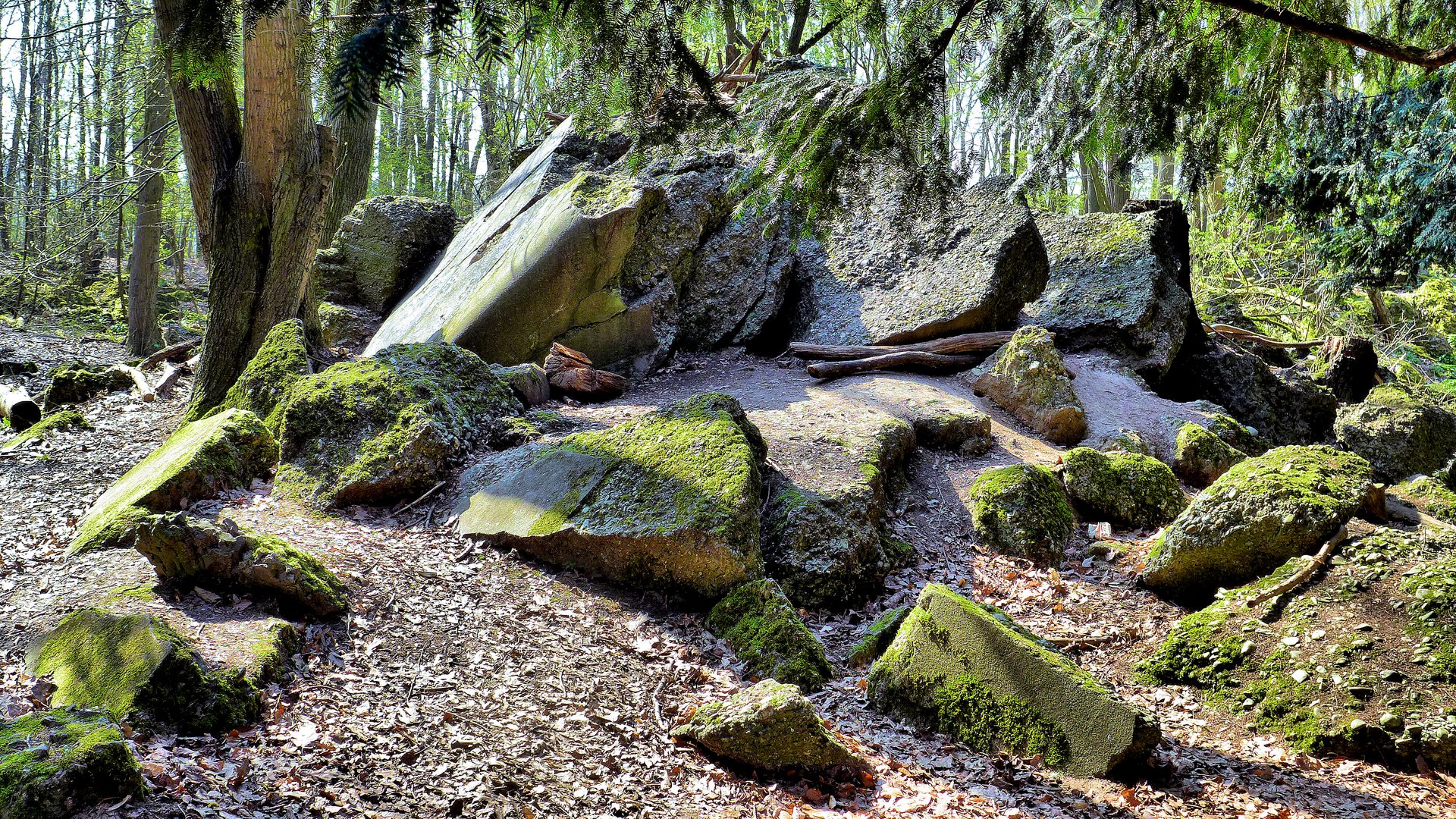 Felsen ?