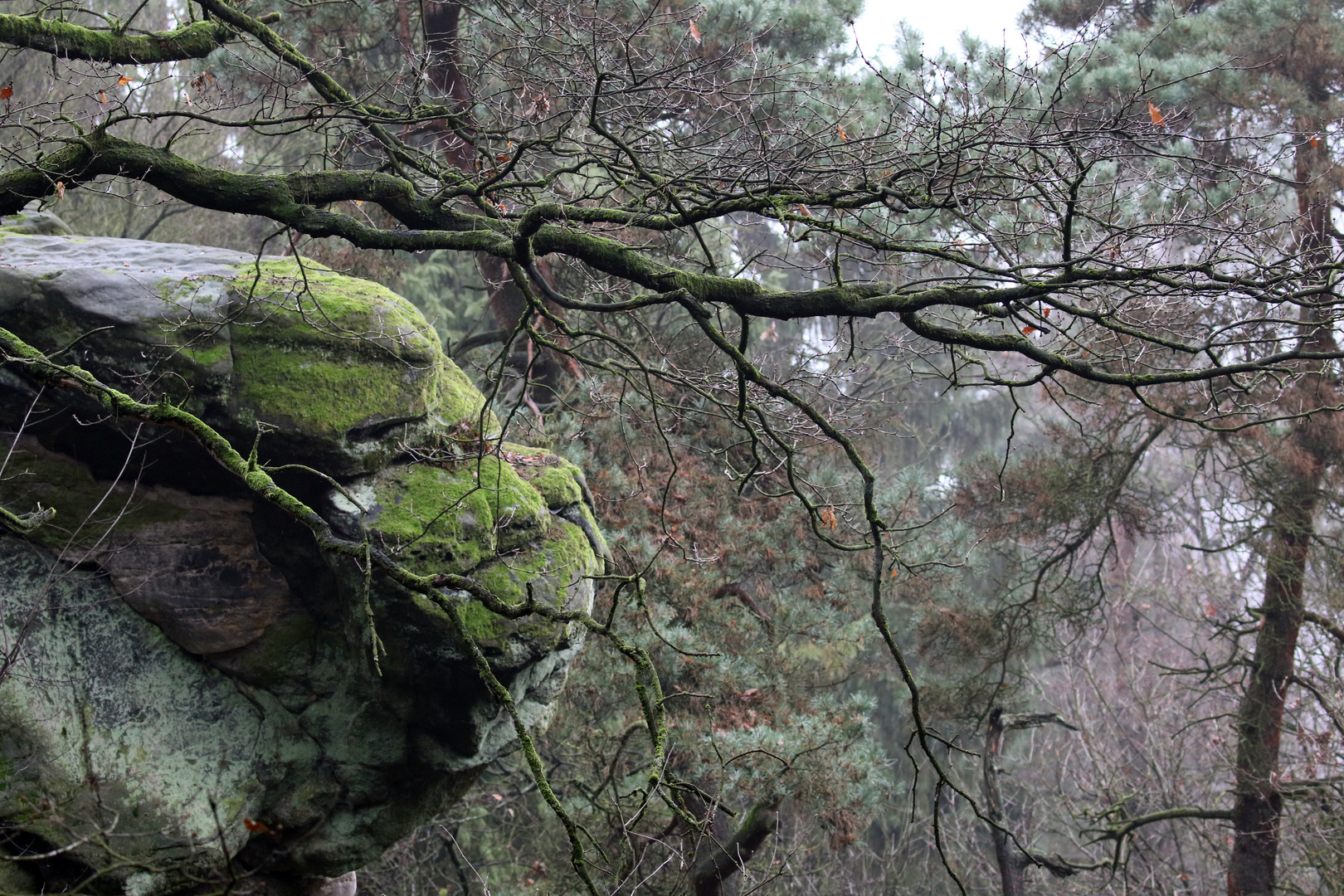 Felsen