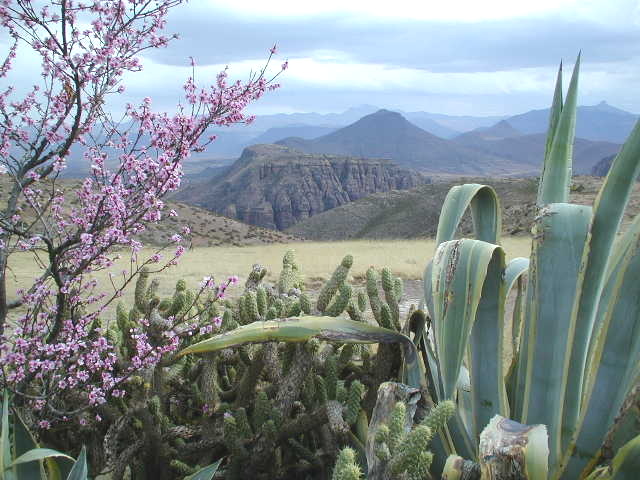 Felsen bei Ha Sekake / Lesotho