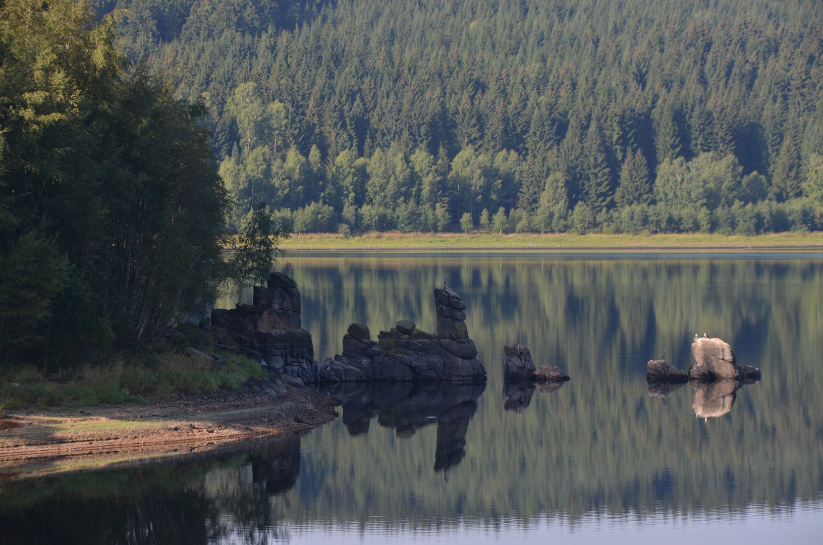 Felsen bei Niedrigwasser