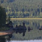 Felsen bei Niedrigwasser