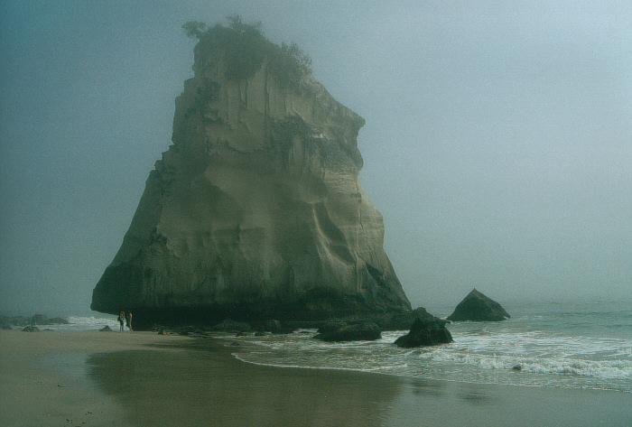 Felsen beim Cathedral Cove - Neuseeland -