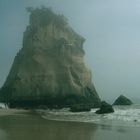 Felsen beim Cathedral Cove - Neuseeland -