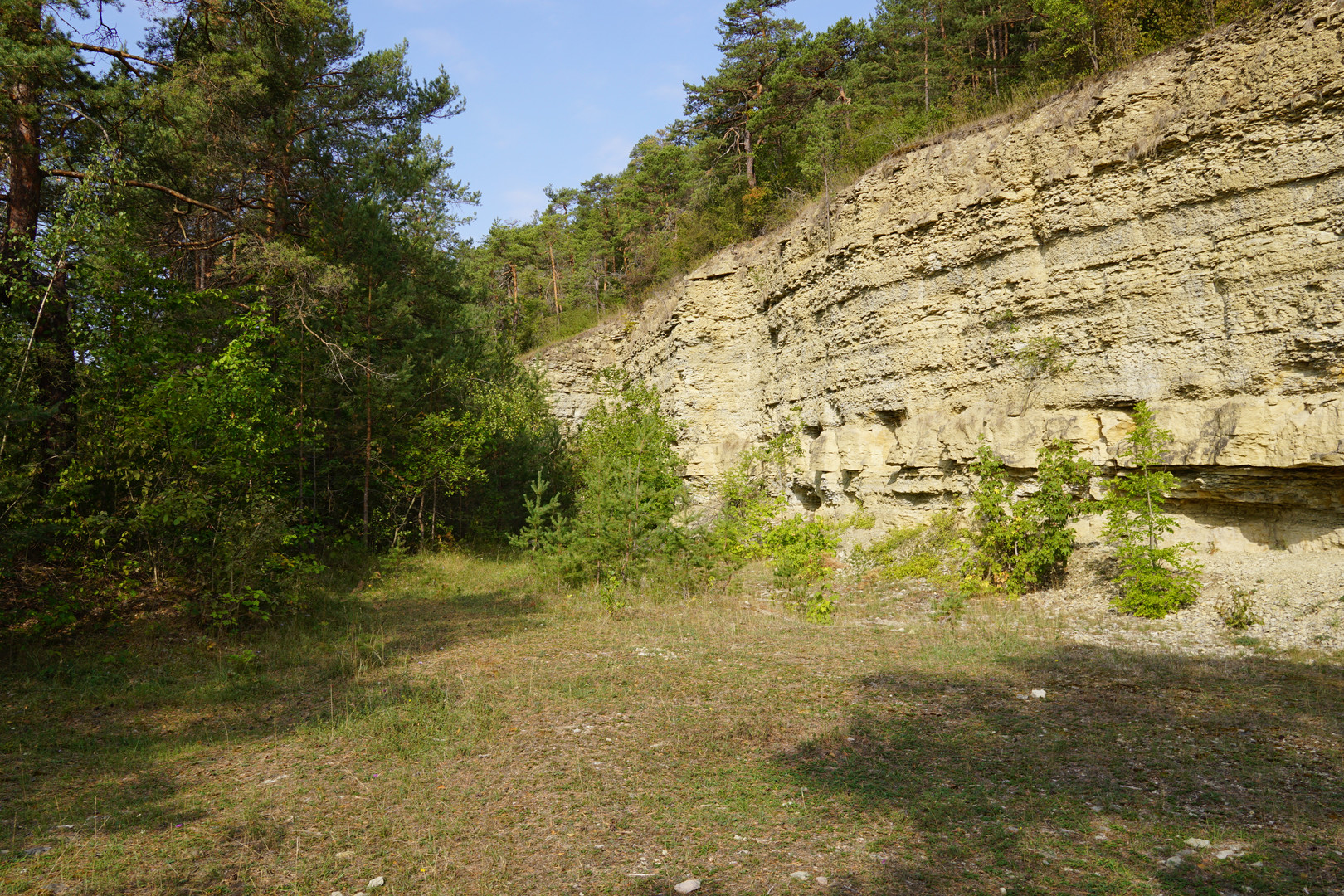 Felsen