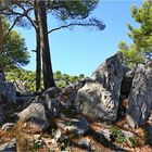 Felsen