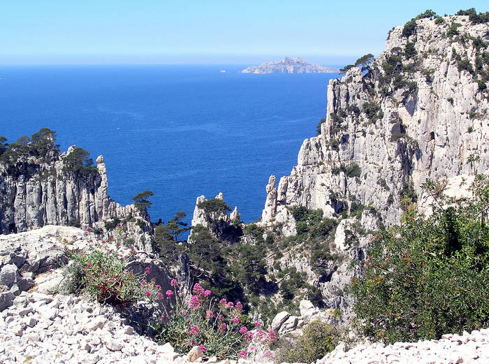 Felsen der Calanques