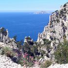 Felsen der Calanques