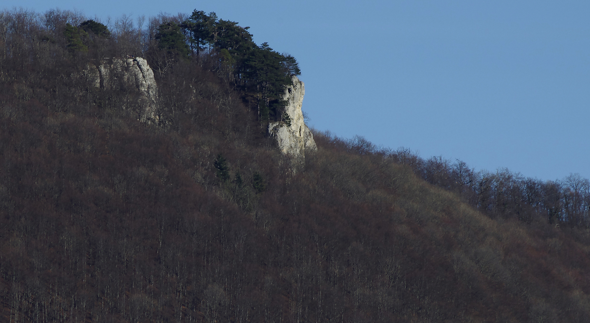 Felsen der Schwäbischen Alb