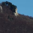 Felsen der Schwäbischen Alb