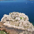 Felsen der Vögel