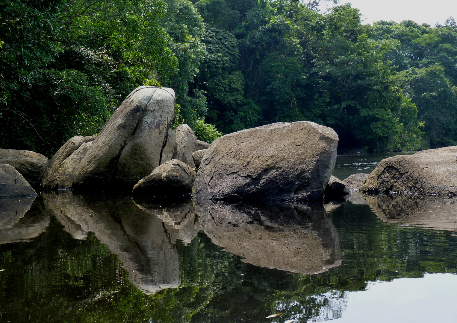 Felsen im Fluss