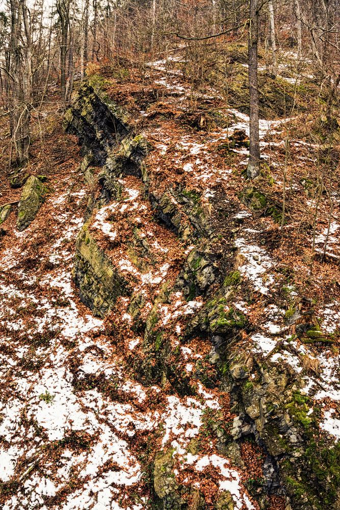 Felsen im Harz