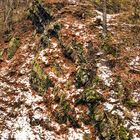 Felsen im Harz