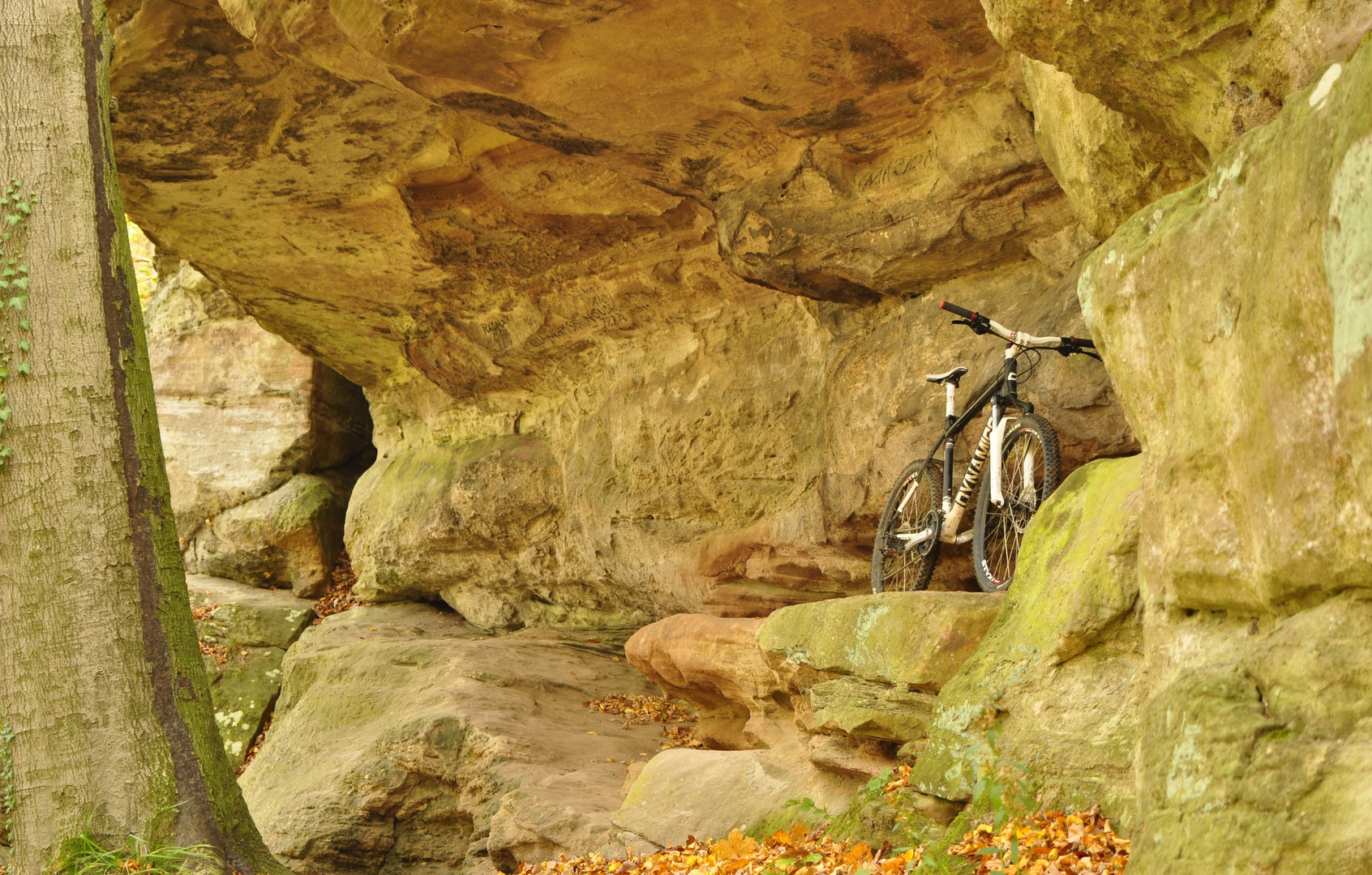 Felsen im Herbst