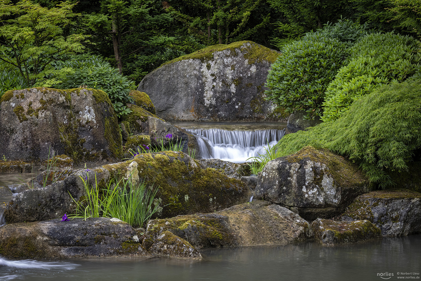 Felsen im Japangarten