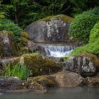 Felsen im Japangarten