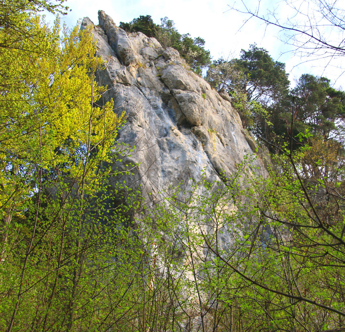 Felsen im Jurawald