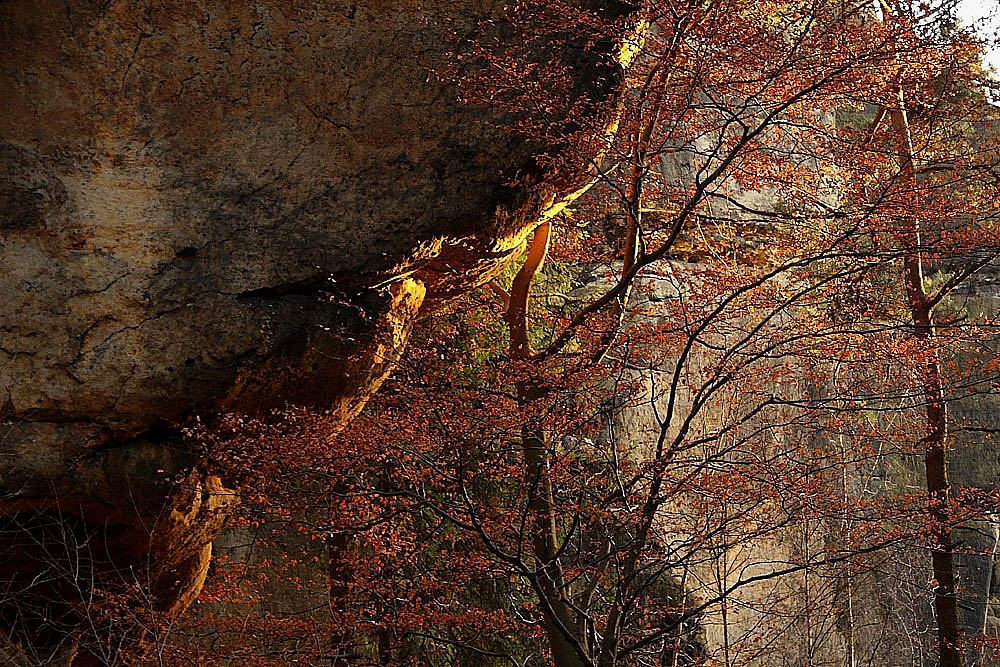 Felsen im Licht