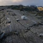 Felsen im Lomsdal-Visten Nationalpark