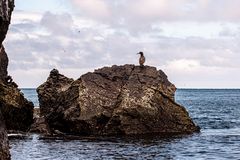 Felsen im Meer.                                              _0181