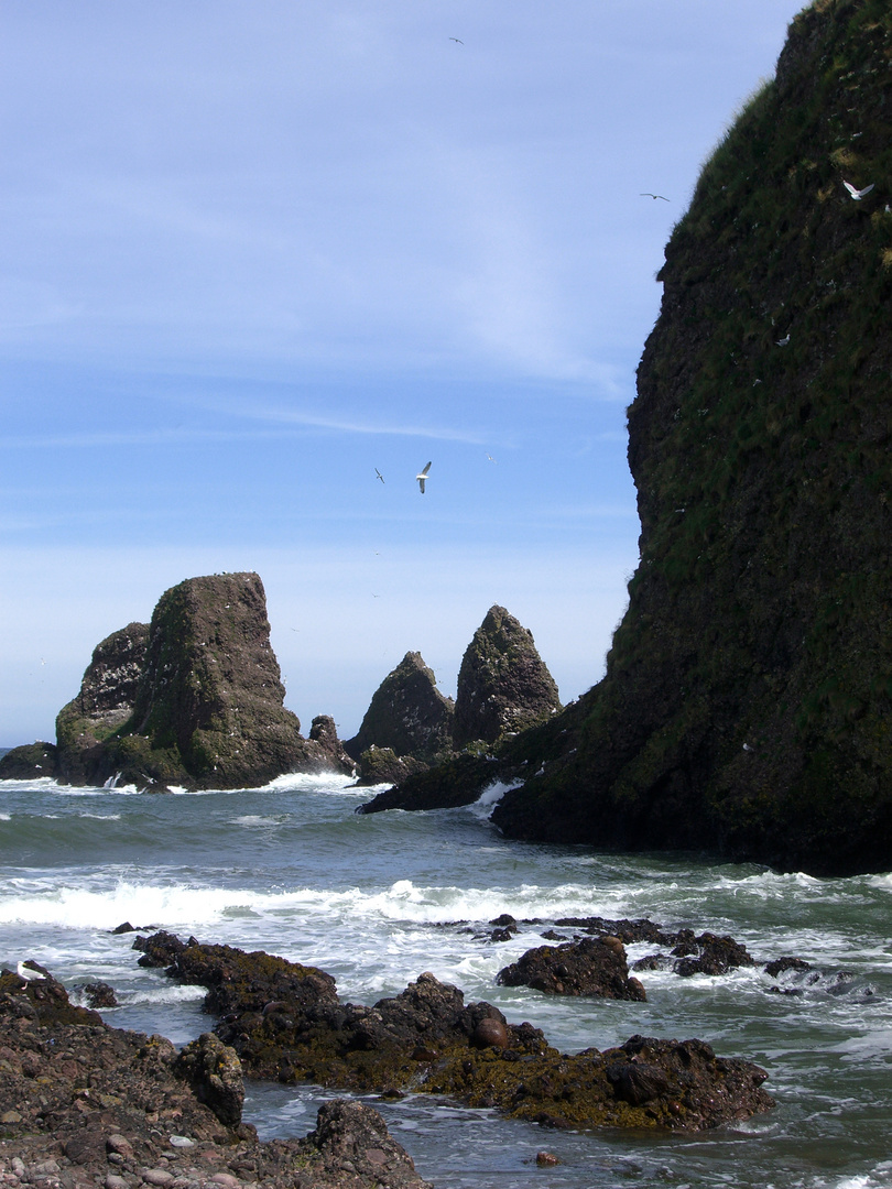 Felsen im Meer