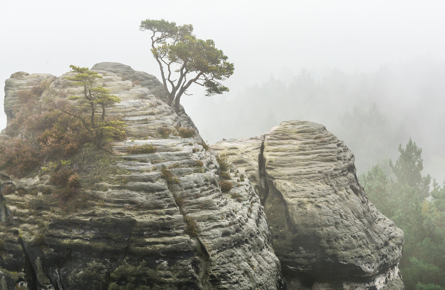 Felsen im Nebel