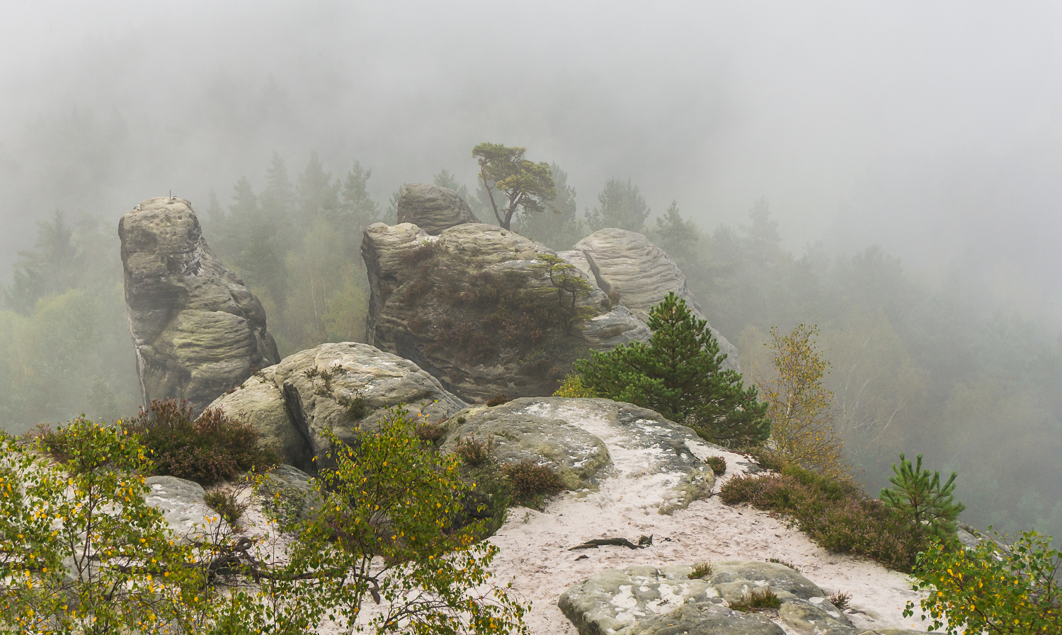 Felsen im Nebel